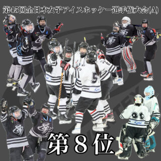 第45回全日本女子アイスホッケー選手権大会(A) 個人成績